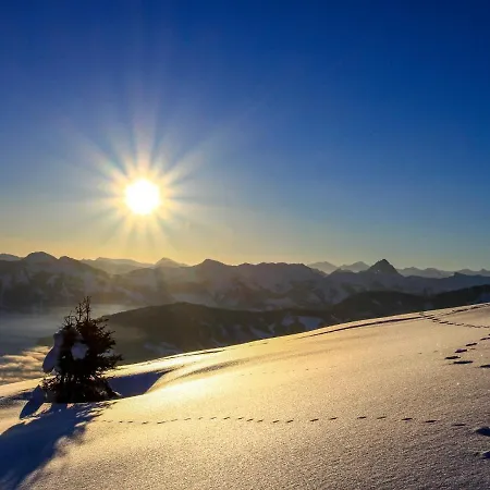 Fichtenblick App- 2 By Interhome Appartement